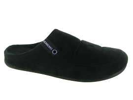 VERBENAS EARTH ALASKA<br>Noir