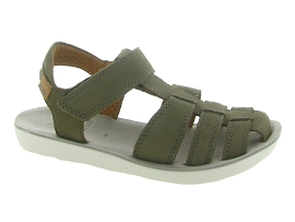 SHOO POM GOA TONTON<br>Kaki