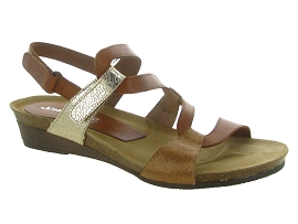 XAPATAN 2164<br>Marron