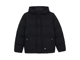 DICKIES BLOUSON EAGLEVILLE<br>Noir